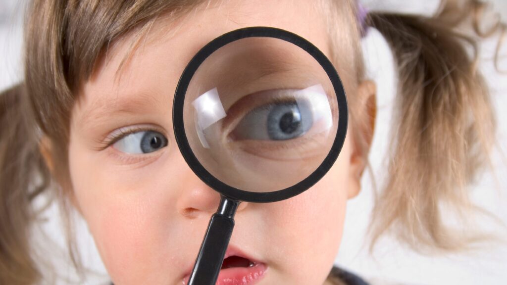 指定書はどこにある？確認方法と取得方法を解説