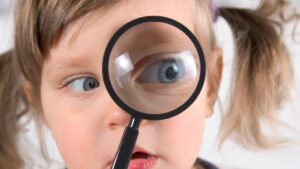 指定書はどこにある？確認方法と取得方法を解説