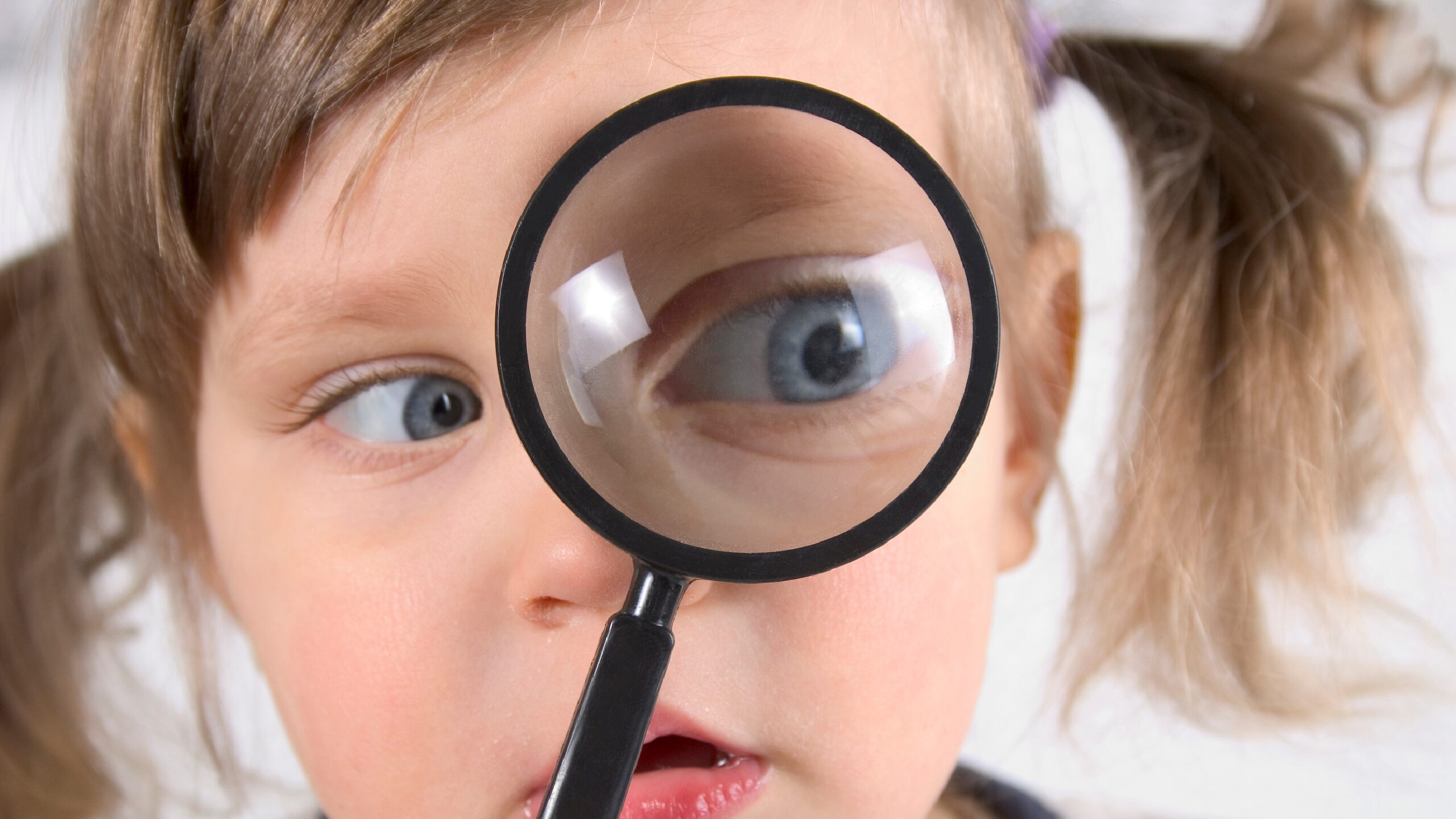 指定書はどこにある？確認方法と取得方法を解説